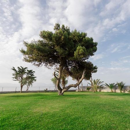 Punda 4 Seasons Διαμέρισμα Διακοφτό Εξωτερικό φωτογραφία
