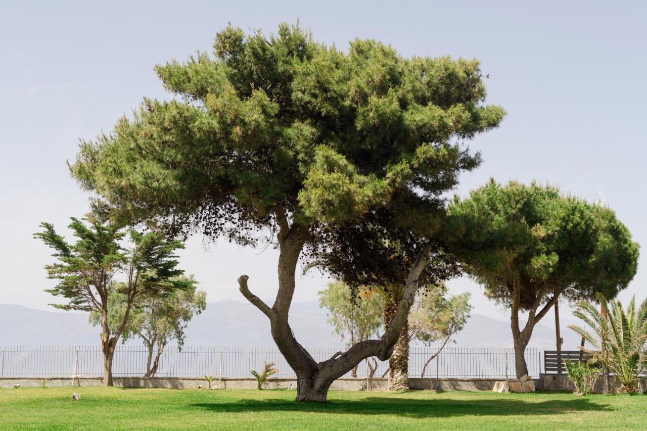 Punda 4 Seasons Διαμέρισμα Διακοφτό Εξωτερικό φωτογραφία